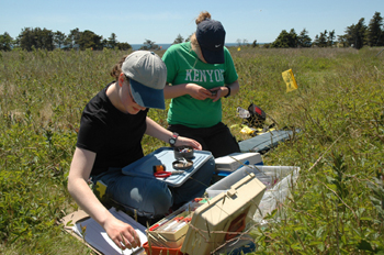 Two young girls doing biological field work in the middle of tall green weeds sunny day 